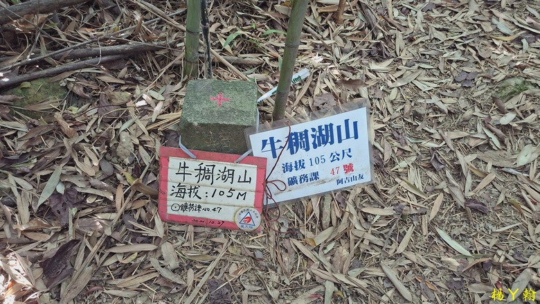 【郊山走走】輕鬆健行內湖7連峰、再賞大湖公園落羽松