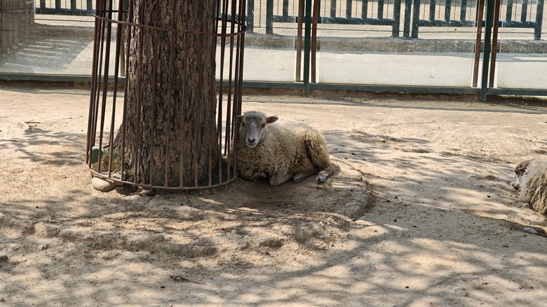 （號稱）亞洲最大鳥類動物園 - 九九峰動物樂園一日遊記 -