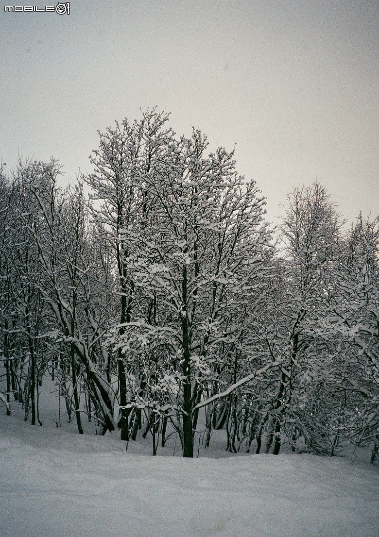 Pentax 17 旅行分享 - Tromso