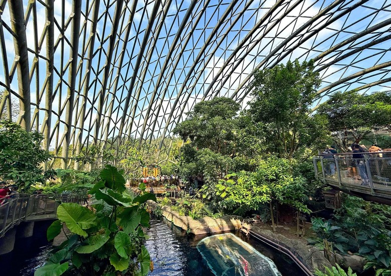 走進自然與可愛動物的世界|臺北市立動物園遊記