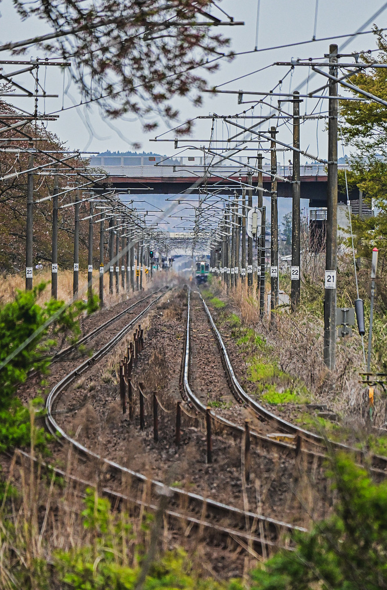 2026_4 仙台，盛岡，青森 櫻花賞。