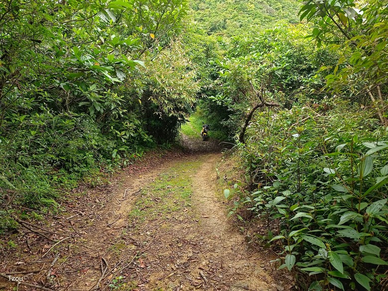 背著書包去越野--白米甕林道台泥大白山礦路