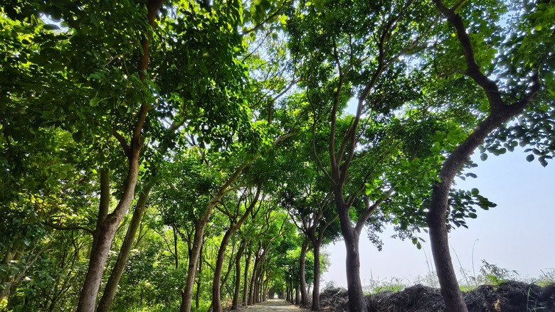 田中太保|大林→嘉油→保鹿 Bike way|騎小布縱貫線漫遊四縣市