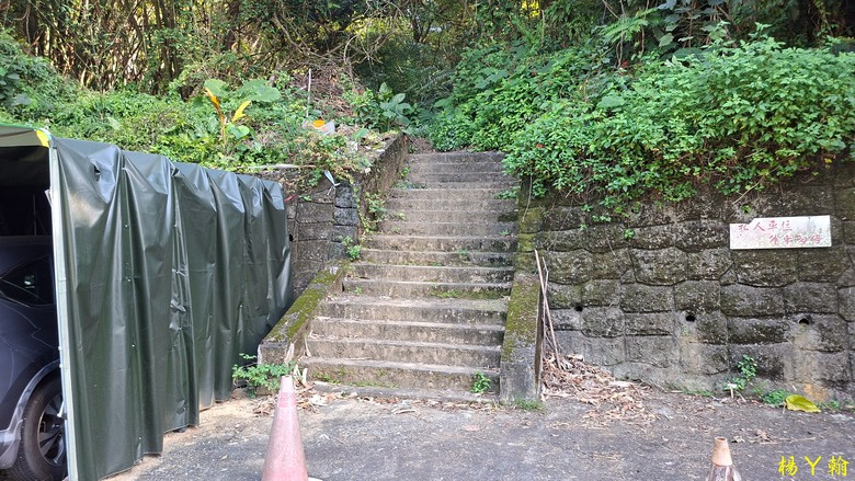 【郊山走走】輕鬆健行內湖7連峰、再賞大湖公園落羽松