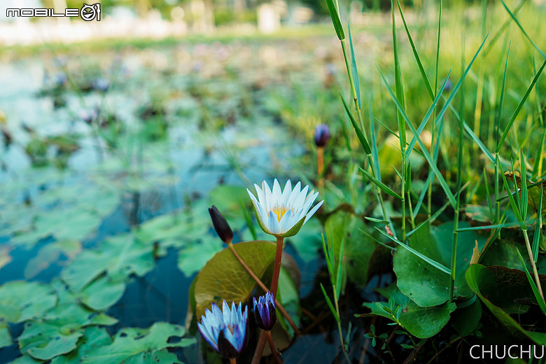 Sony A7C2 與 ZEISS Batis 2/25 的全家出遊記
