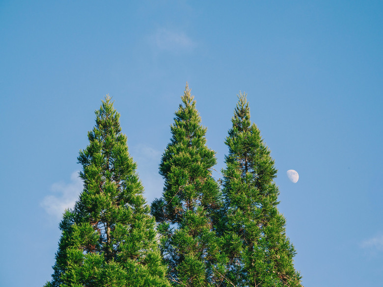 九州之旅 上 OM3+12-100 F4