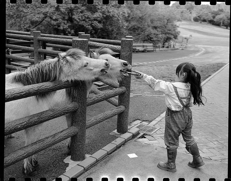 2026 三月 北九州自駕旅