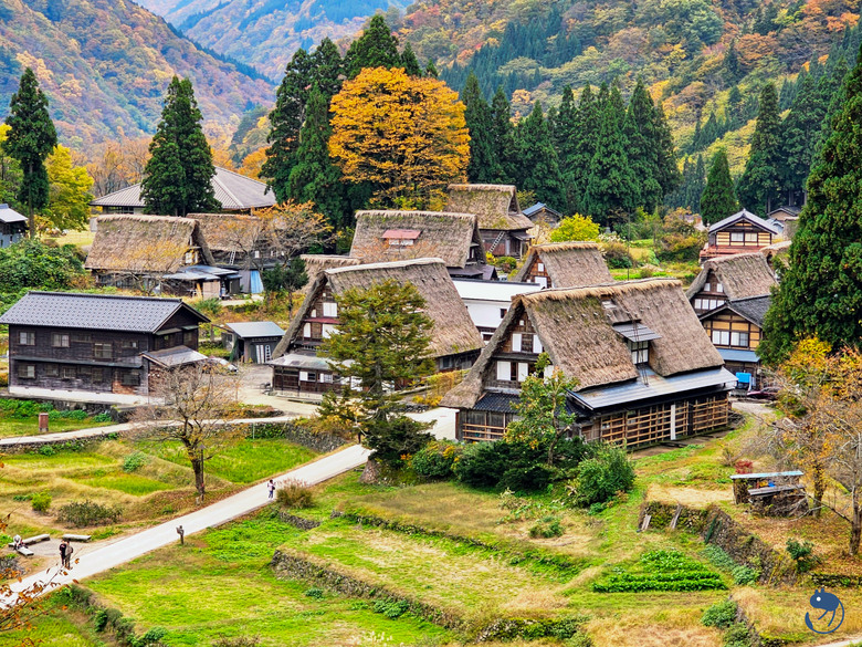 日本-富山南礪|*深山中的世外桃源* 越中五箇山相倉合掌村 相倉合掌造り集落