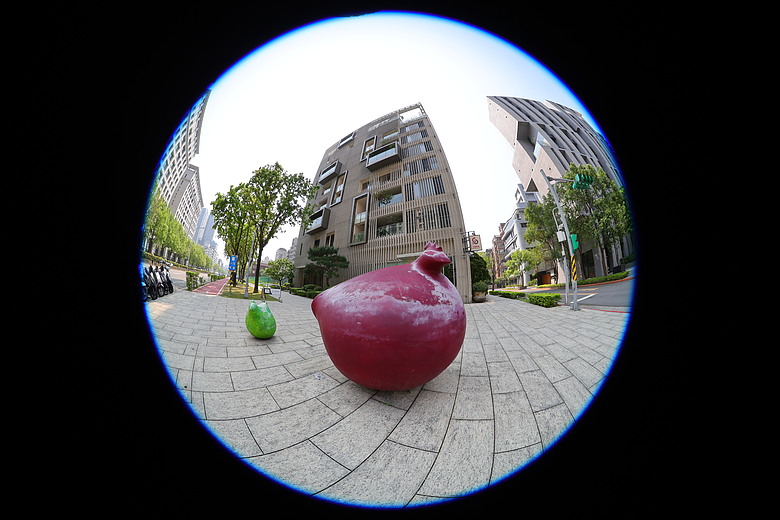 Canon RF 7-14mm F2.8-3.5L Fisheye STM 評測報告｜當圓周遇上對角線、探索 190° 的極限視覺張力！
