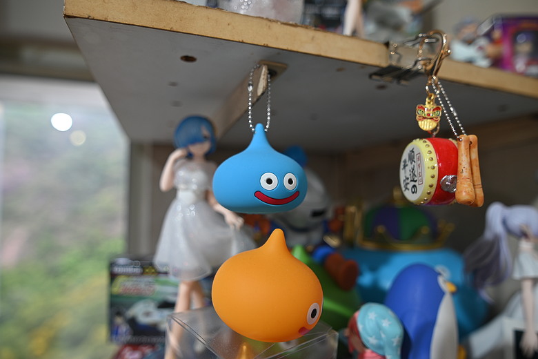 陪老婆行香港花卉展覽 2026 遇上 Tokina 特價 F DX 靚鏡( Tokina AT-X 14-20mm F2 PRO DX )