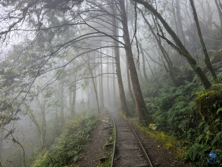 宜蘭-大同|*煙嵐雲岫* 太平山快閃之旅