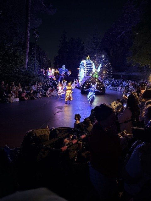 (2026 April) 🇺🇸 🏰 卅五年之後 再遊 狄斯耐樂園 Disneyland 🇺🇸👸🏻