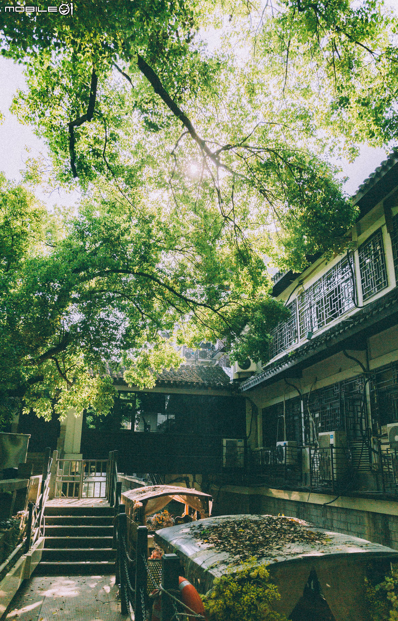 晨曦漫游姑蘇 5D3 +24-70mm F4