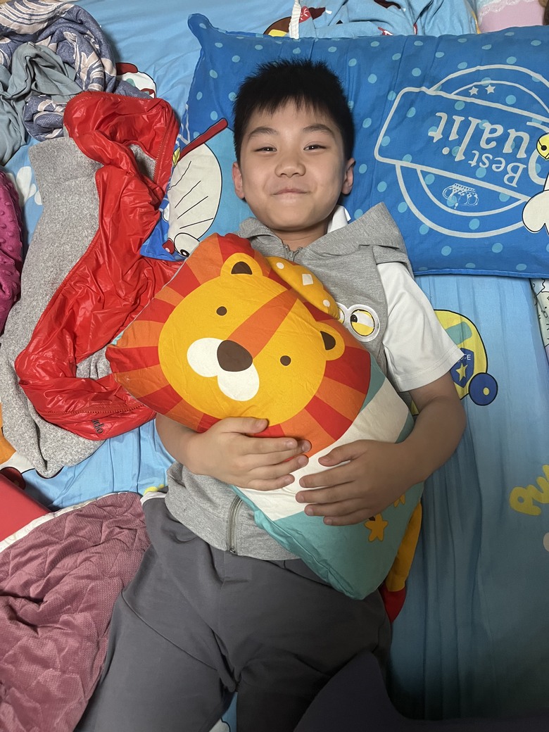 Milo&Gabby美國動物好朋友mini枕