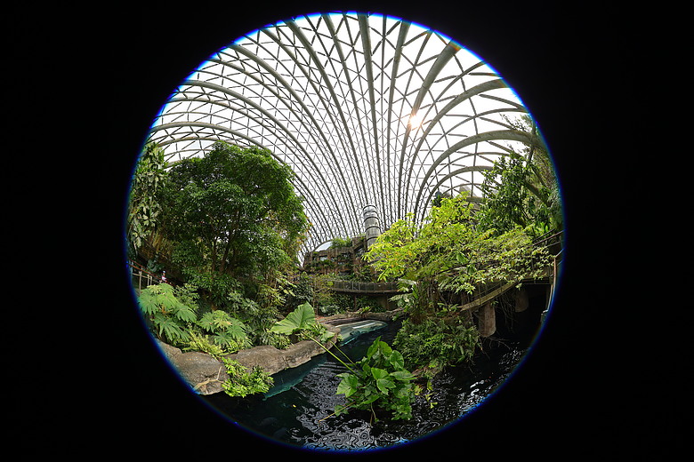 Canon RF 7-14mm F2.8-3.5L Fisheye STM 評測報告｜當圓周遇上對角線、探索 190° 的極限視覺張力！