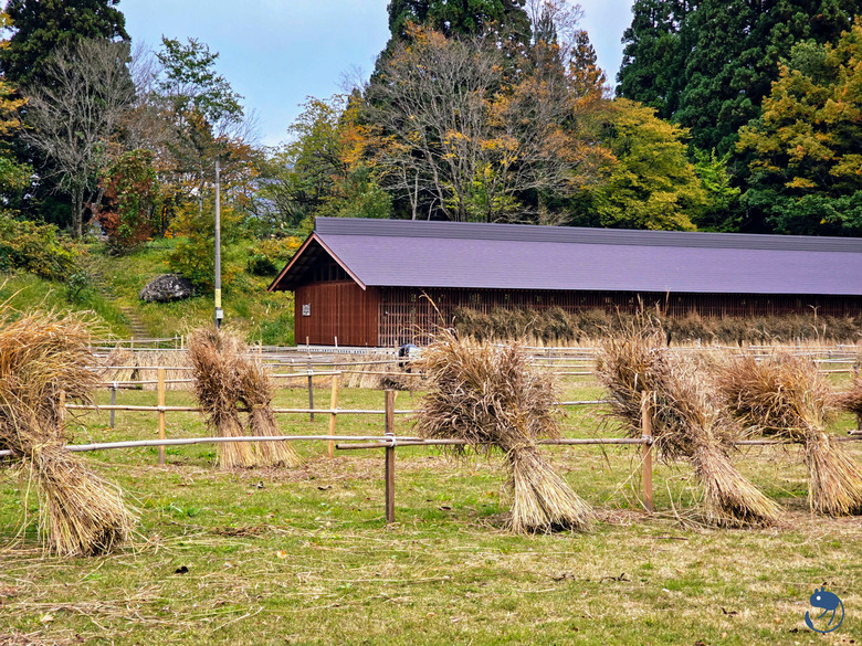 日本-富山南礪|*深山中的世外桃源* 越中五箇山相倉合掌村 相倉合掌造り集落