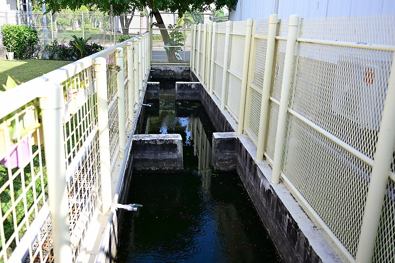 在自家拍鳥真有意思