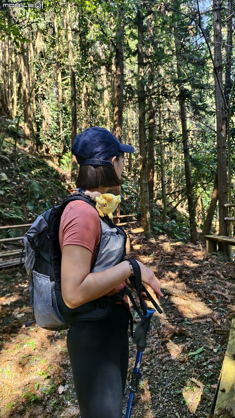 新竹冷門登山路線 | 滿滿竹林 |鬼澤山