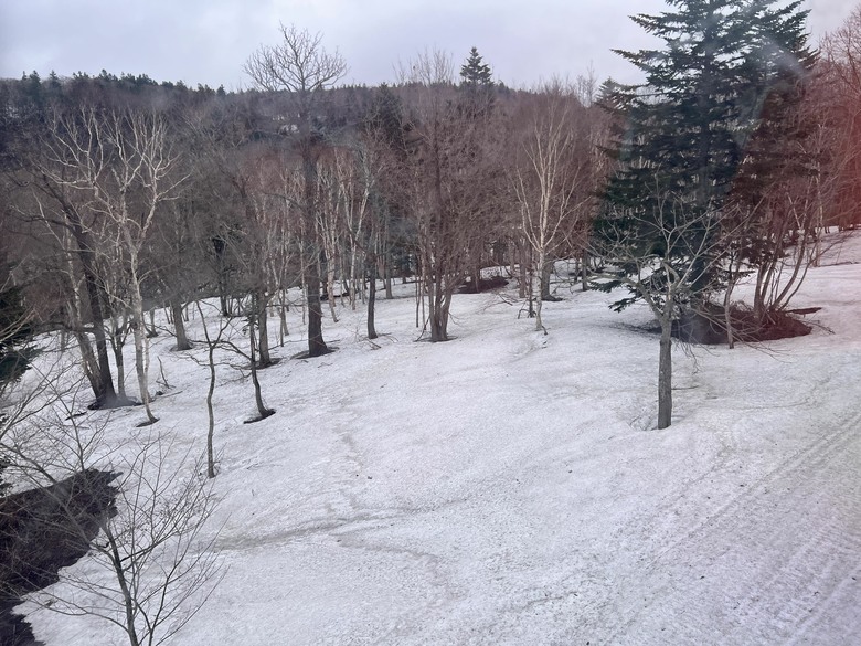 雪地之上，凝聚更好的團隊