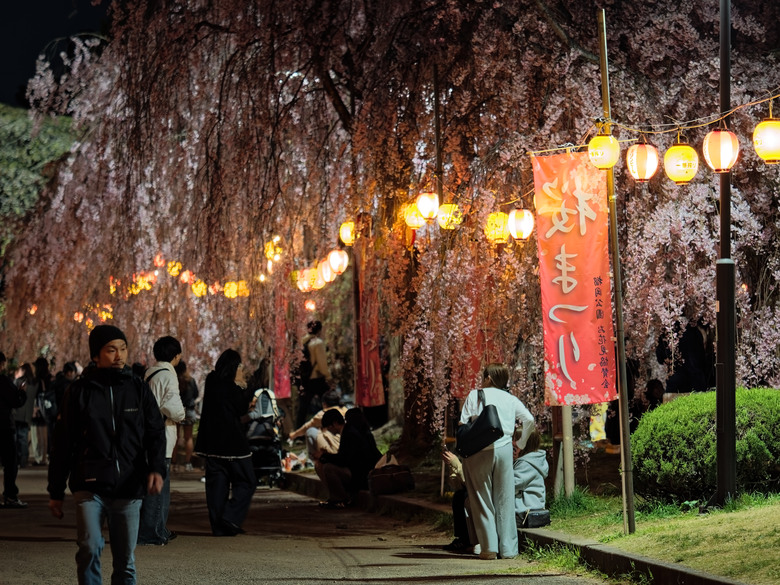 日本東北賞櫻六日遊(omsystem OM3+OM1II)