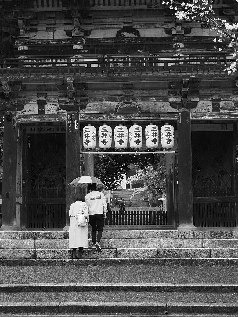 2026 OM1 關西賞櫻 見遊記