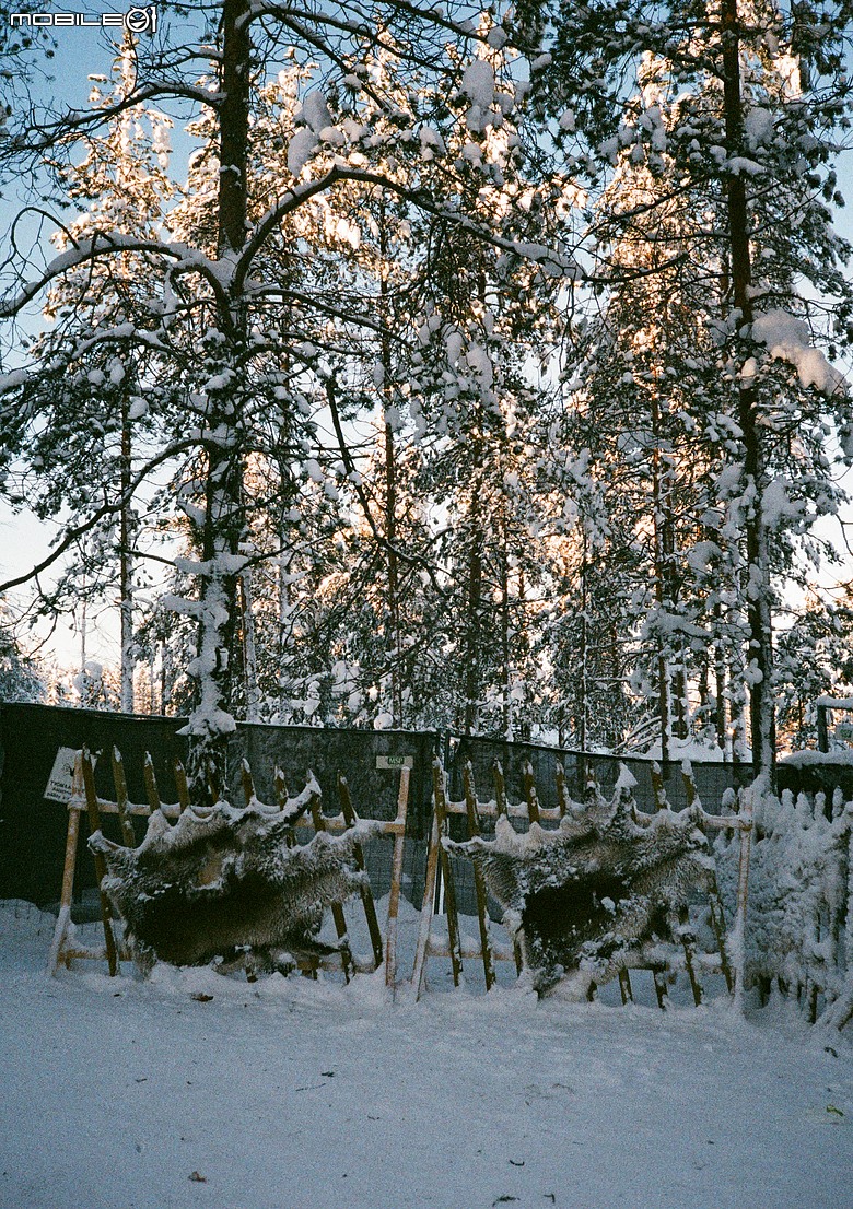 Pentax 17 旅行分享 - Rovaniemi