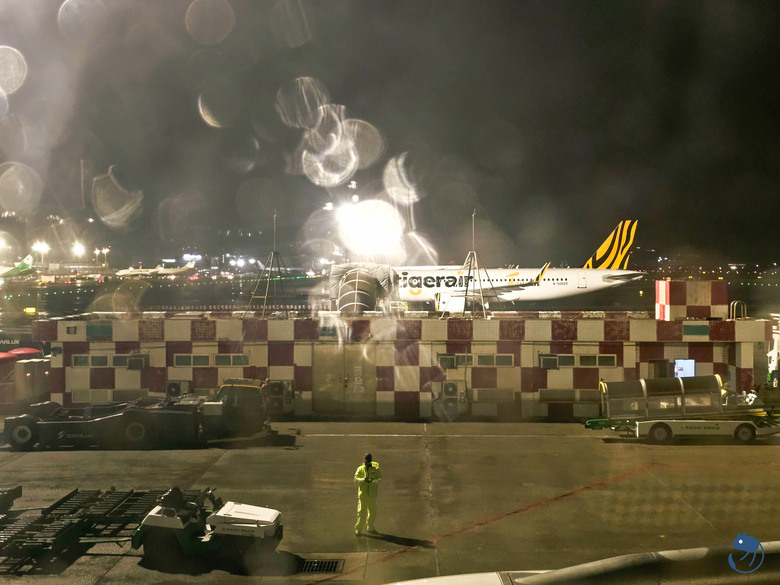 澳門|長榮 BR806 A330-300 澳門MFM-台北TPE 飛行紀錄