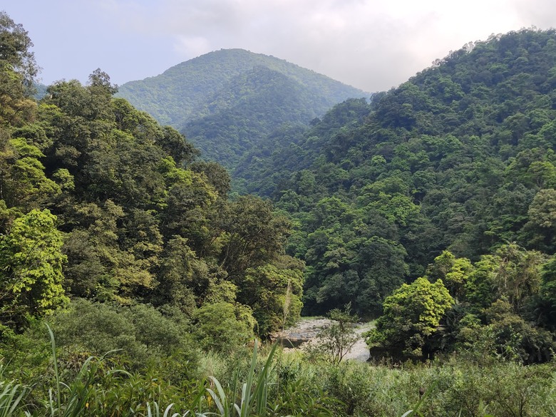 背著書包去越野－－武荖坑林道信大水泥大白山礦路