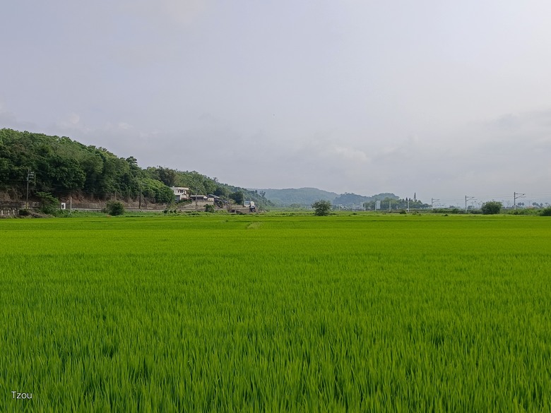 Muhai Ludun 山上的路－卓溪山林環繞路與橫斷海岸山脈二部曲