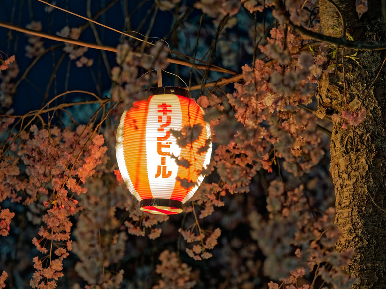 日本東北賞櫻六日遊(omsystem OM3+OM1II)