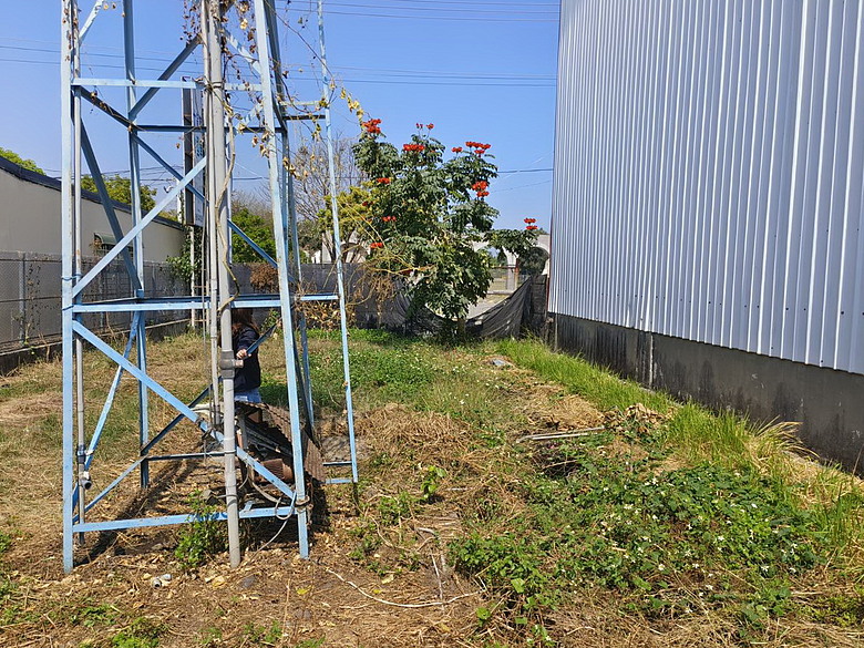 在自家拍鳥真有意思
