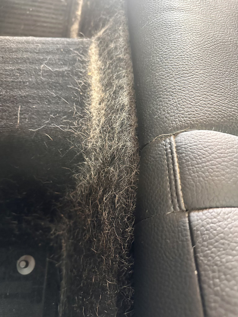 狗毛車變新車！台南內裝清洗＋特殊狗毛處理