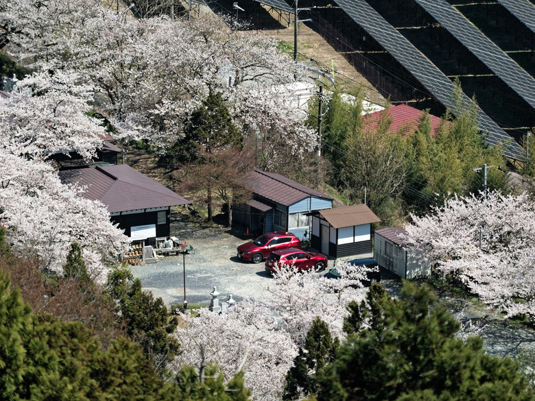 日本東北賞櫻六日遊(omsystem OM3+OM1II)