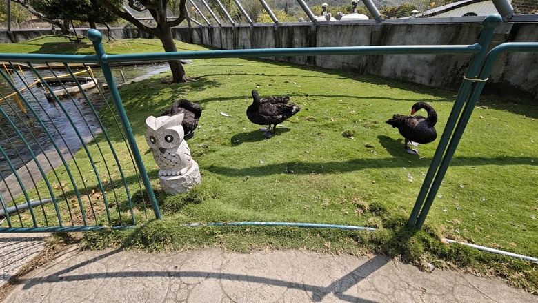 （號稱）亞洲最大鳥類動物園 - 九九峰動物樂園一日遊記 -