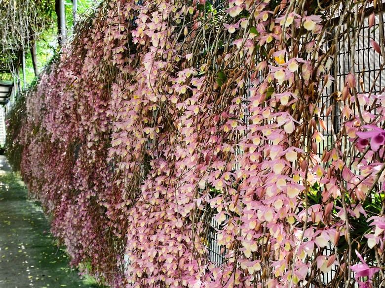 田中太保|大林→嘉油→保鹿 Bike way|騎小布縱貫線漫遊四縣市