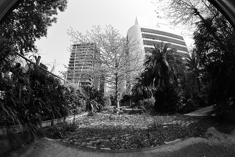 Canon RF 7-14mm F2.8-3.5L Fisheye STM 評測報告｜當圓周遇上對角線、探索 190° 的極限視覺張力！