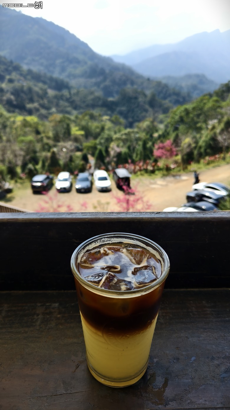 新竹冷門登山路線 | 滿滿竹林 |鬼澤山