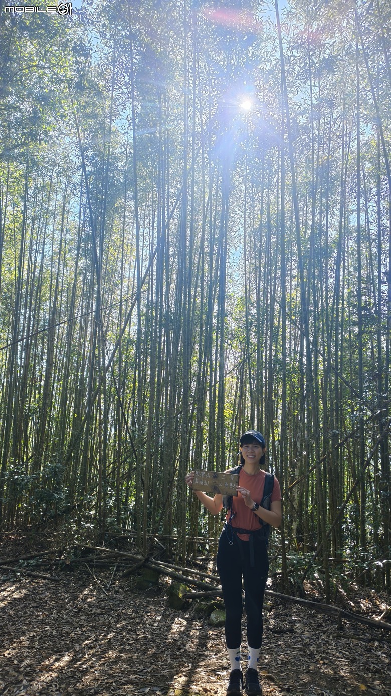 新竹冷門登山路線 | 滿滿竹林 |鬼澤山