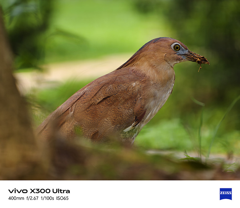 【開箱】陸版 VIVO X300 Ultra +手柄套裝 +G2 Ultra增距鏡