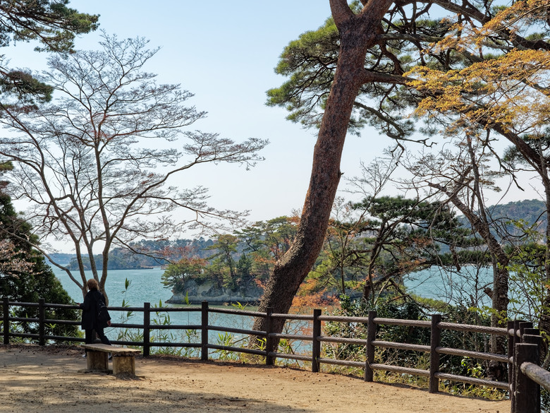日本東北賞櫻六日遊(omsystem OM3+OM1II)