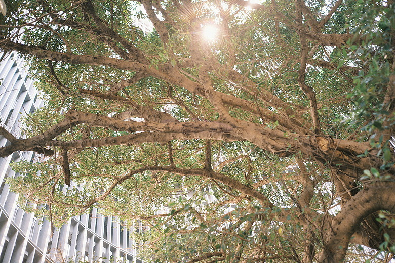 PANASONIC S9 | 深光 sg-image 35mm f2.2 | L mount 鏡頭 | 簡易開箱 | LUT隨拍圖多 | 暨S9手柄分享