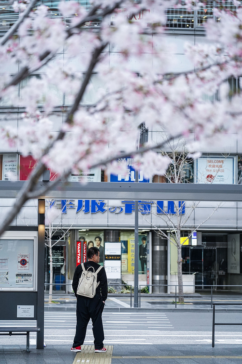 2026關西櫻花之旅（上）