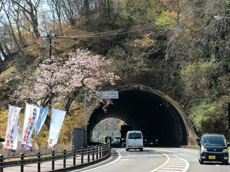 日本東北賞櫻六日遊(omsystem OM3+OM1II)