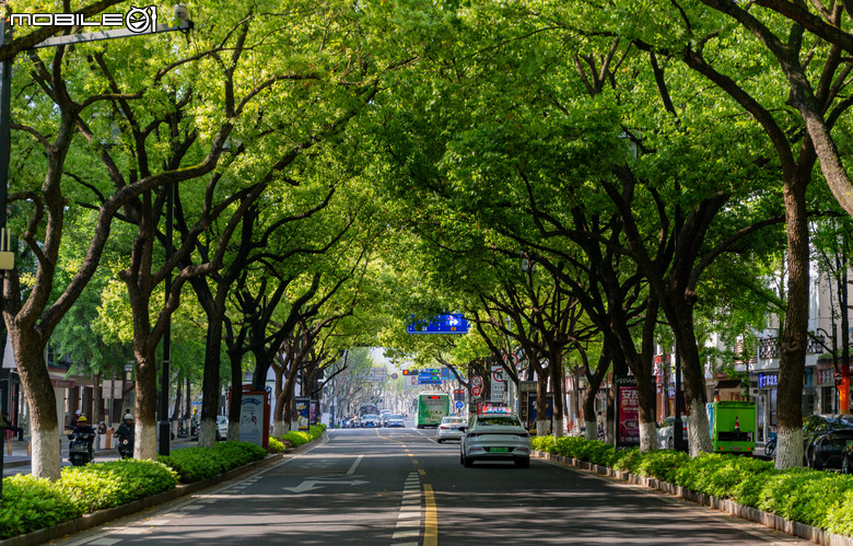 晨曦漫游姑蘇 5D3 +24-70mm F4