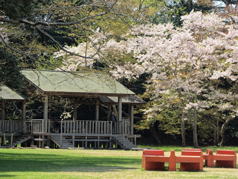 日本東北賞櫻六日遊(omsystem OM3+OM1II)