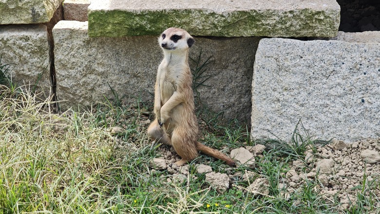 （號稱）亞洲最大鳥類動物園 - 九九峰動物樂園一日遊記 -