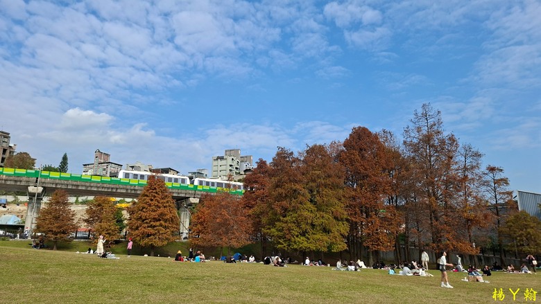 【郊山走走】輕鬆健行內湖7連峰、再賞大湖公園落羽松