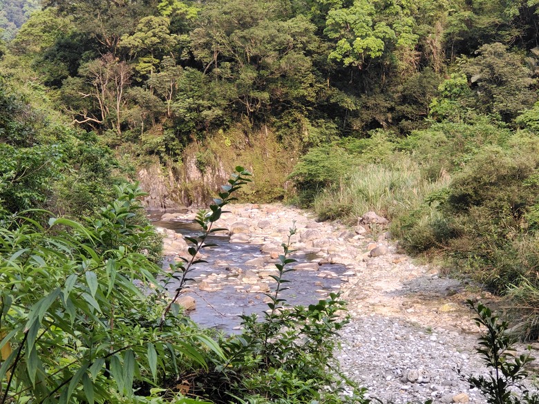 背著書包去越野－－武荖坑林道信大水泥大白山礦路