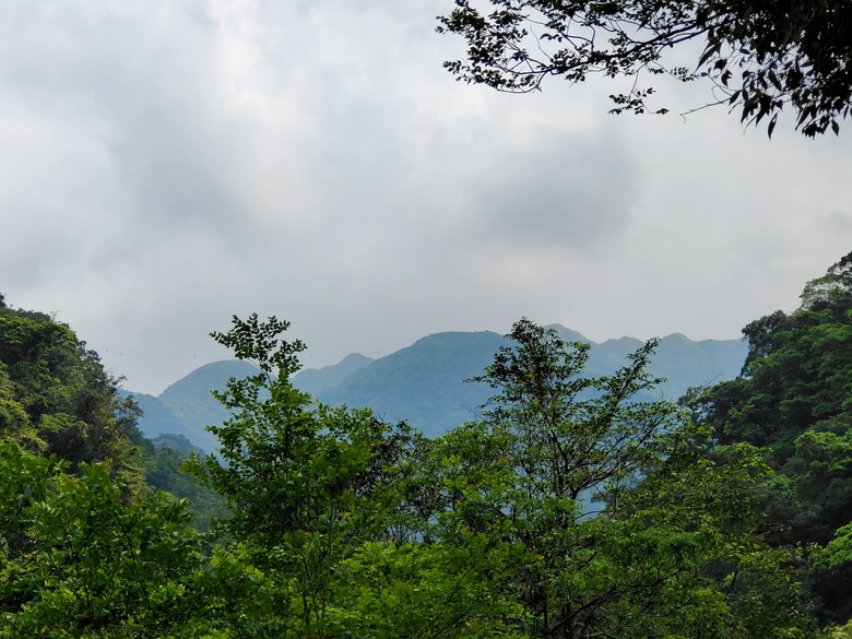 背著書包去越野－－武荖坑林道信大水泥大白山礦路