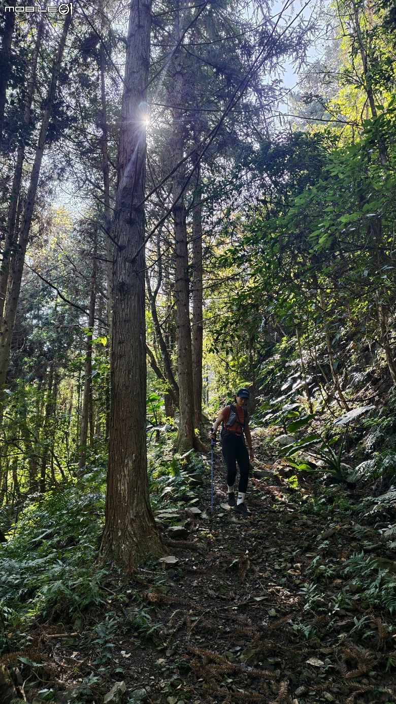 新竹冷門登山路線 | 滿滿竹林 |鬼澤山